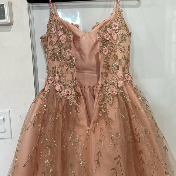 Dancing Queen Blush Pink Gold Embroidered Tulle Floral Mini Dress Size XS - Picture 9 of 16